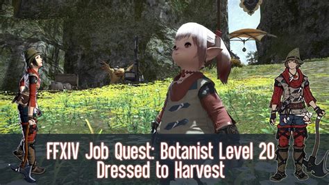 dressed to harvest ffxiv.